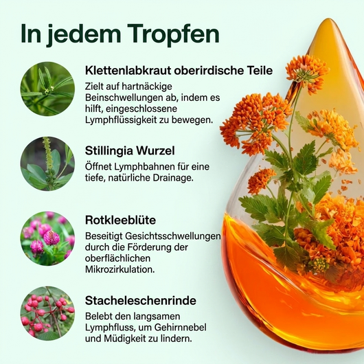 Moods Lymphdrainage-Tropfen